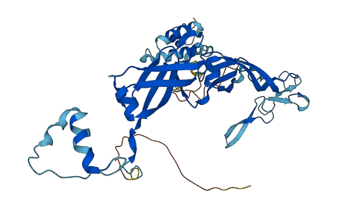 DNAJA2 3D structure