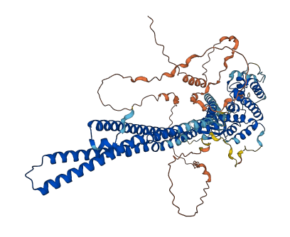 OPHN1 3D structure