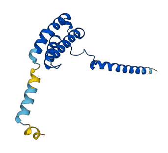 RAMP1 3D structure