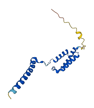 RAMP3 3D structure