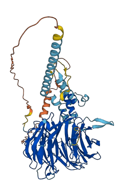 TBL1X 3D structure