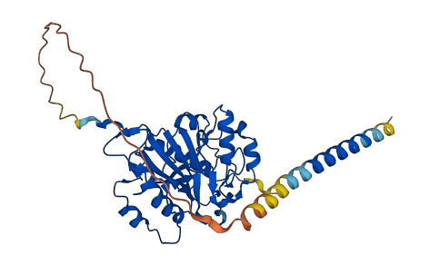 B4GALT2 3D structure