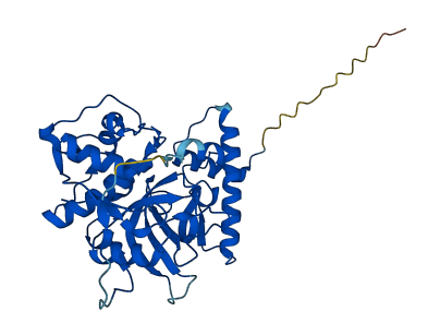 CTSV 3D structure