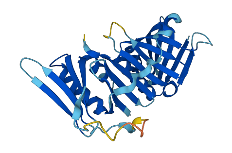 HUS1 3D structure