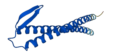 PFDN1 3D structure