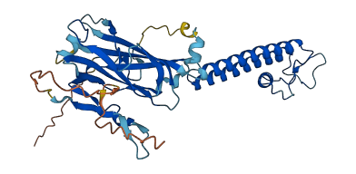 KCNJ13 3D structure