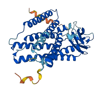 CTNS 3D structure