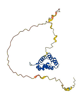 NOL3 3D structure