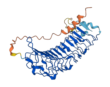 KERA 3D structure