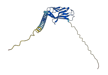 SCN2B 3D structure