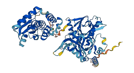 RNGTT 3D structure