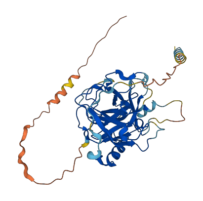 Prss39 3D structure