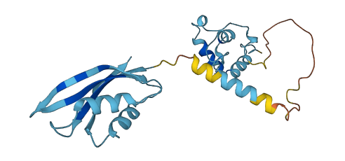Eef1b 3D structure