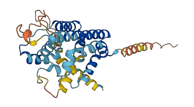 Hmox3 3D structure