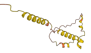 Sprr2j 3D structure