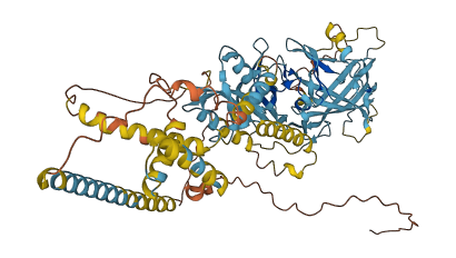 ERVK-19 3D structure