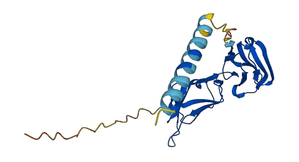 FCGR3B 3D structure