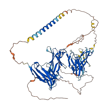 LILRB3 3D structure