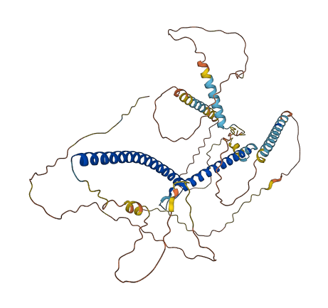 MITF 3D structure