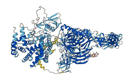 PLXNA2 3D structure