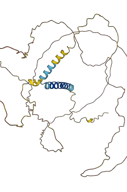 SDC3 3D structure