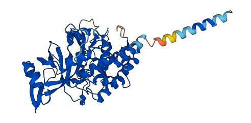 FAM20B 3D structure