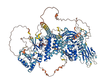 DENND4B 3D structure