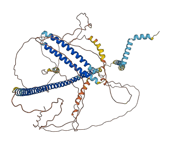 TMCC2 3D structure