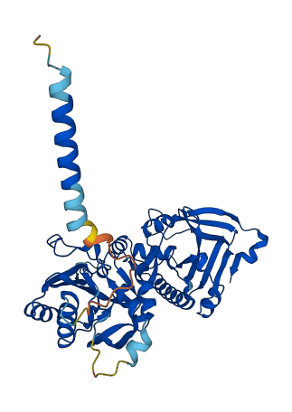 FKTN 3D structure