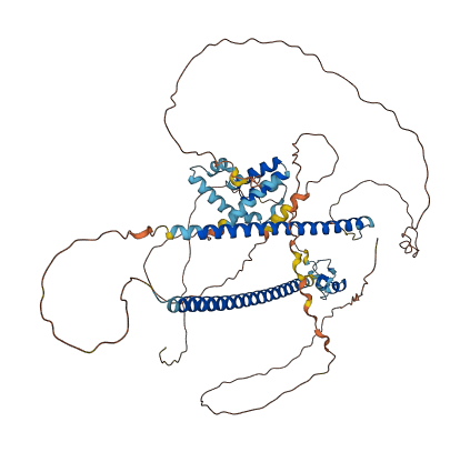 CBFA2T3 3D structure
