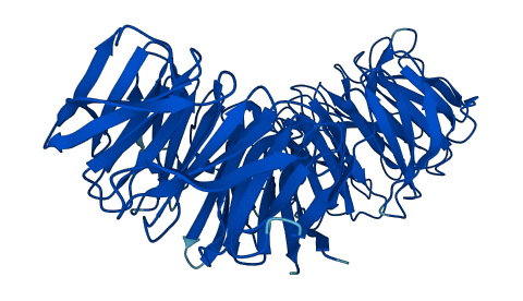 WDR1 3D structure