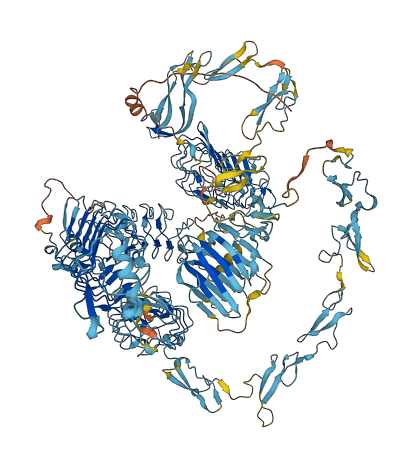 SLIT1 3D structure