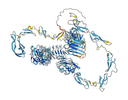 SLIT3 3D structure