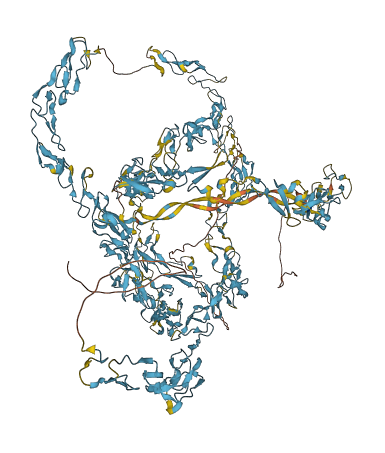 MEGF6 3D structure