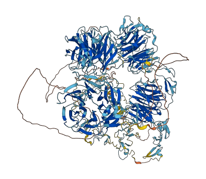 LRP4 3D structure
