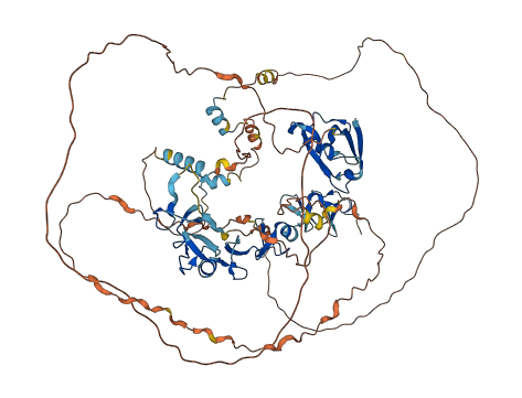 LDB3 3D structure