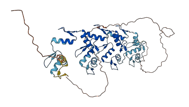ZNF623 3D structure