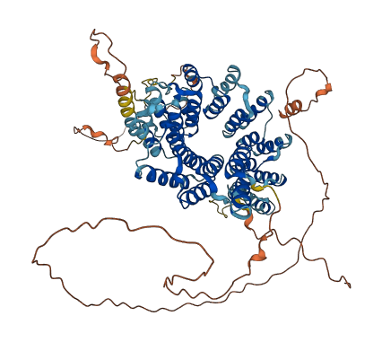 PTCD1 3D structure