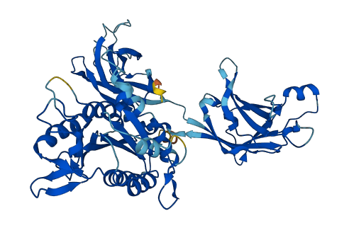 CPNE3 3D structure