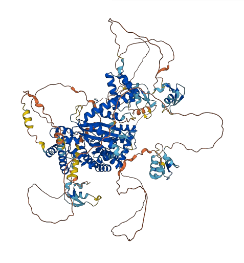 ZBED4 3D structure