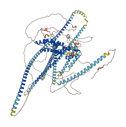 PPFIA3 3D structure