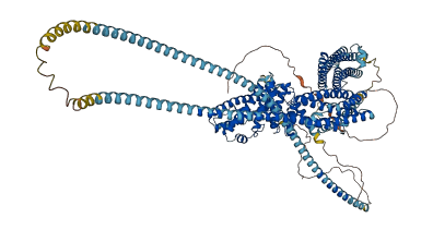 HIP1R 3D structure