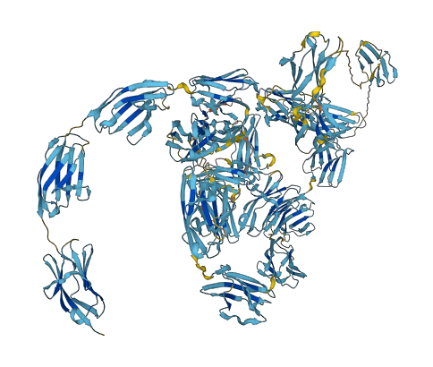 OBSL1 3D structure