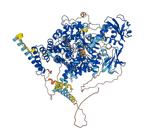 CLUH 3D structure