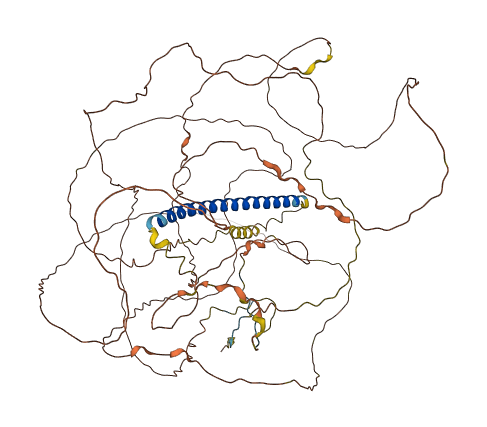 TSC22D2 3D structure