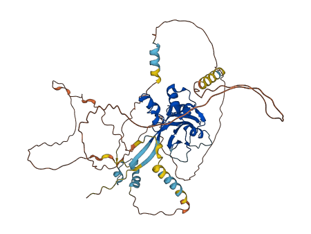 SOCS5 3D structure