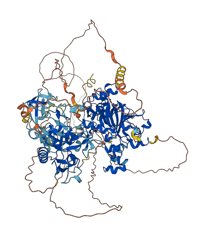 KDM4A 3D structure