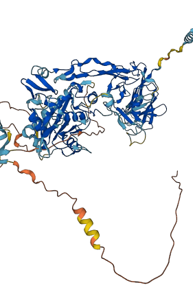 ADAMTS4 3D structure