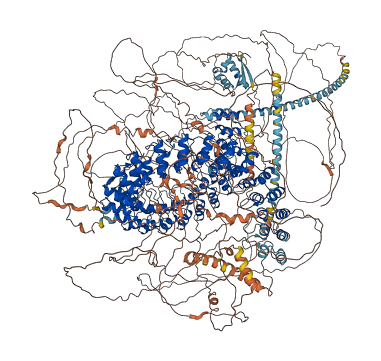 ANKRD17 3D structure