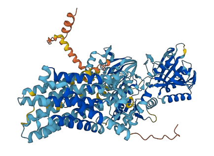ATP2C2 3D structure